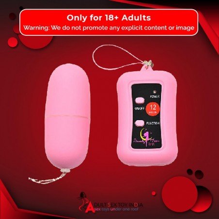 Remote Control Vibrating Egg BV-003