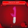 10 Function Dual Rabbit Vibrators RV-014