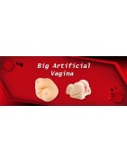 Big Artificial Vagina Sex Toys In Patiala